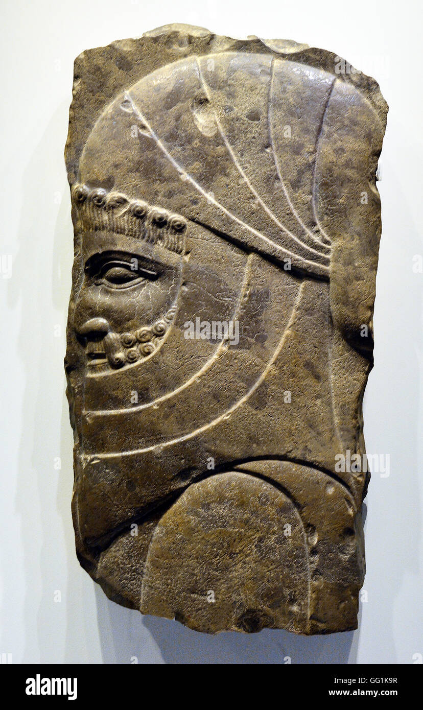 5925]. Il persiano il sacerdote o il santo servo, Persepolis, Iran (Persia), 5-4Th. C. BC. Foto Stock