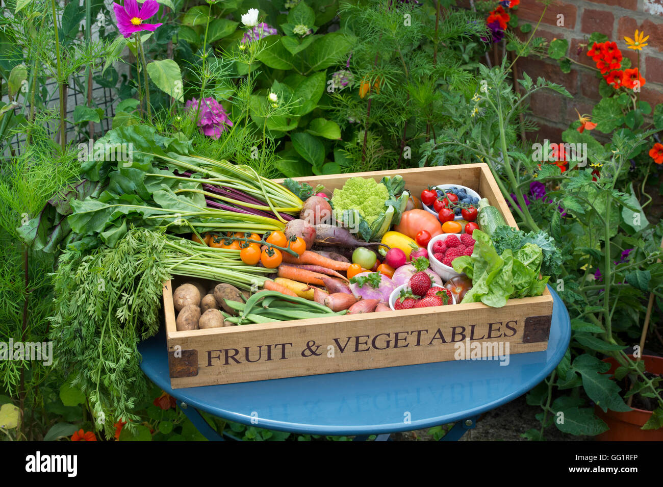 Vassoio in legno di raccolti di frutta e verdura in un cottage Inglese giardino Foto Stock