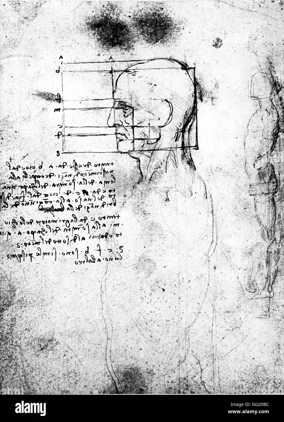 Proporzioni anatomiche. La faccia 1452-1519 Leonardo da Vinci di Parigi. Biblioteca nazionale Foto Stock