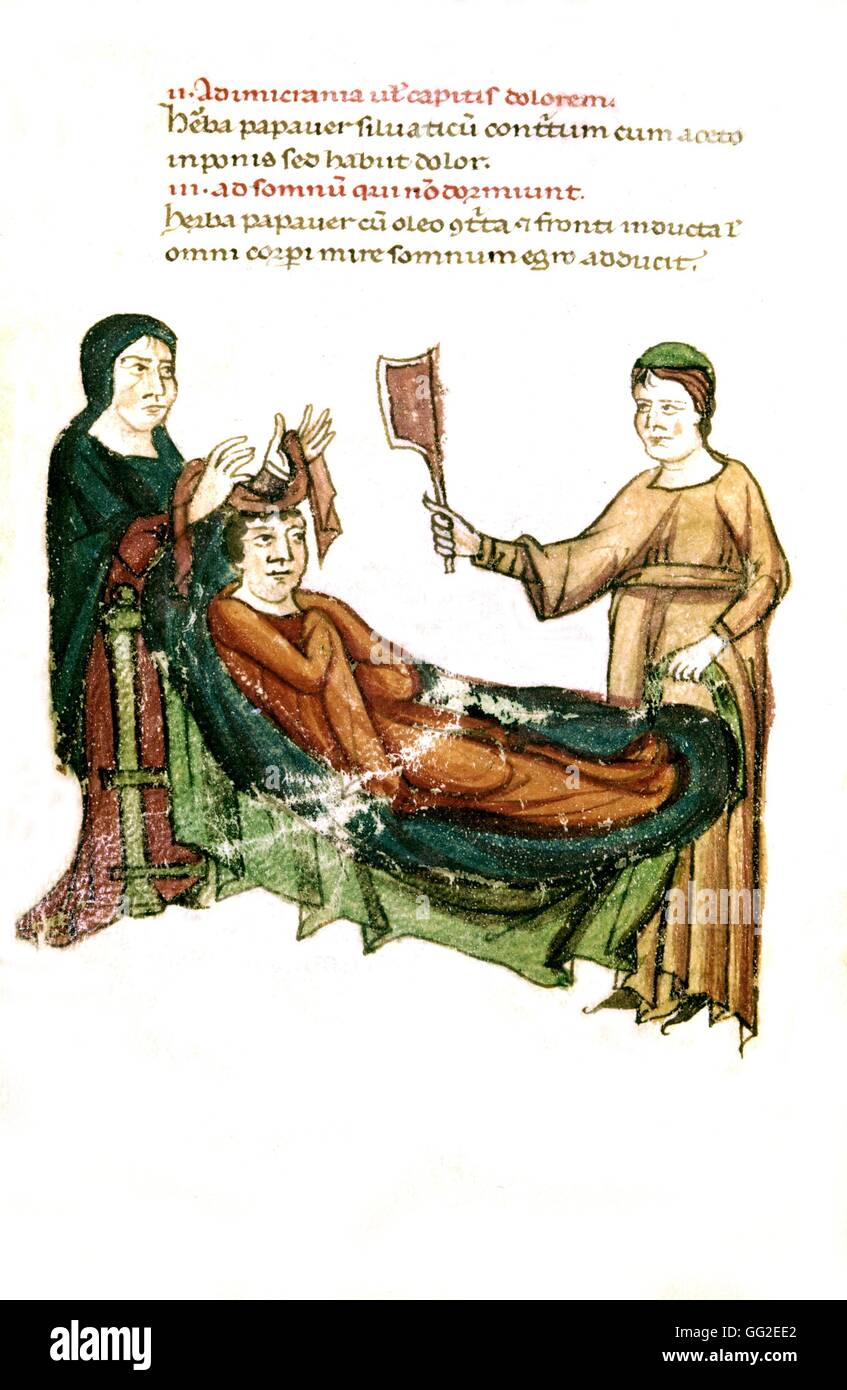 Anonimo. Pseudo Apuleio erbario: per curare il mal di testa e insonnia del XIII secolo a Firenze in miniatura, Biblioteca Laurenziana Foto Stock