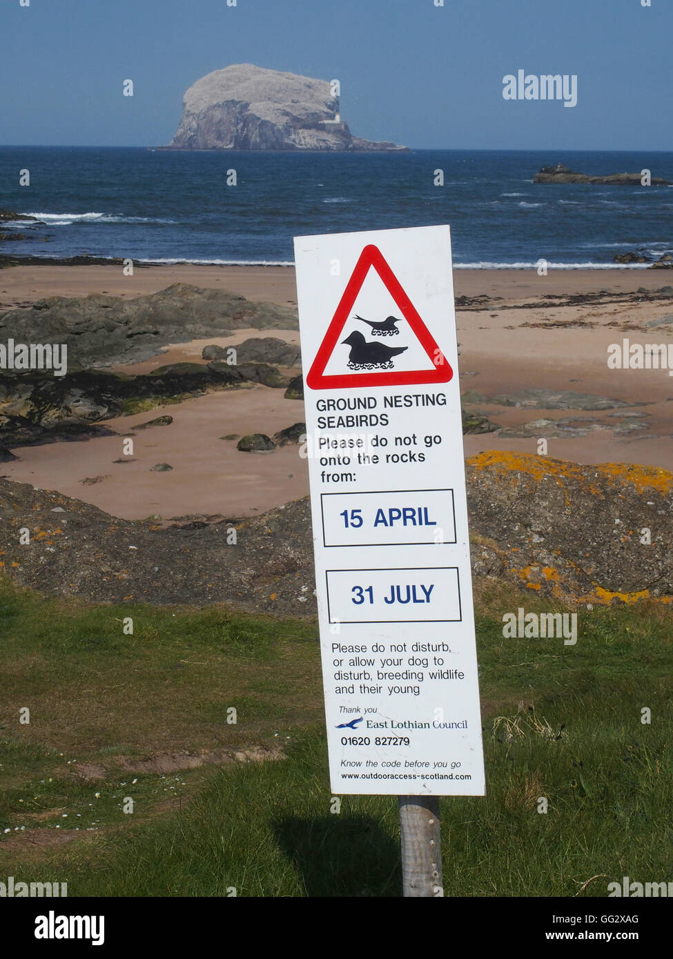 Segnale di avvertimento, massa uccelli nidificanti, North Berwick e Bass Rock Foto Stock