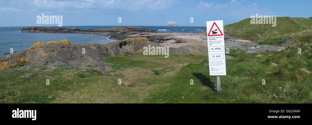 Segnale di avvertimento, massa uccelli nidificanti, North Berwick e Bass Rock Foto Stock