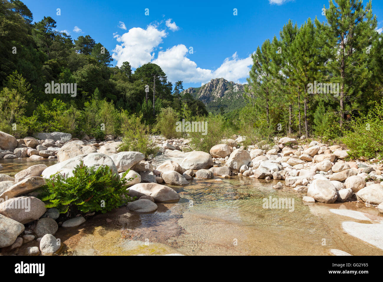 Cavu piscina naturale nei pressi di Tagliu Rossu e Sainte Lucie in Corsica, Francia Foto Stock