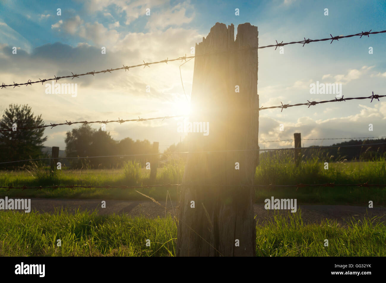La recinzione di un campo al tramonto vicino ad una fattoria Foto Stock