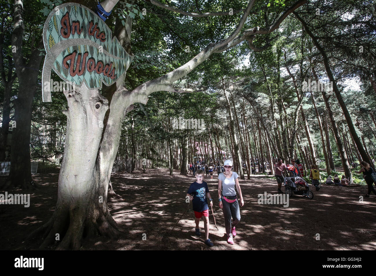 Una vista dei boschi area della latitudine sito del festival. Viste generali il giorno 3 (domenica) del 2016 Latitude festival in Southwo Foto Stock