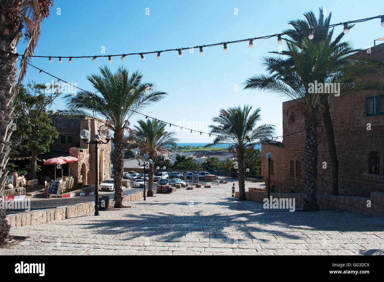 Vecchia Jaffa, Israele, Medio Oriente: le palme sulla scalinata di Piazza Kedumim Foto Stock