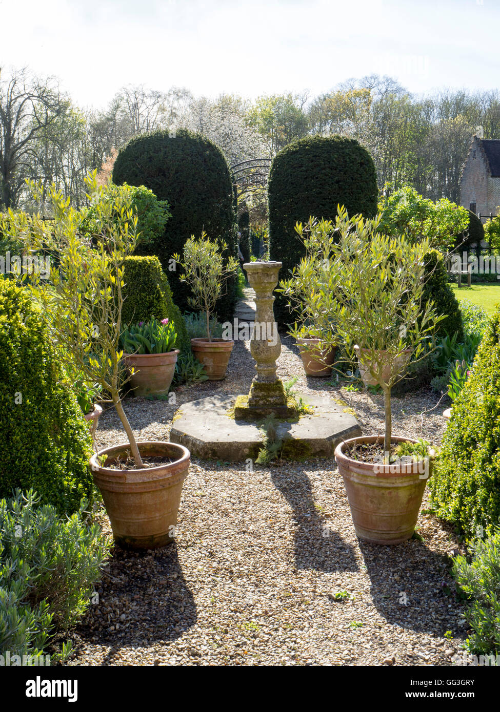 Orologio solare con arbusti piantati lungo un sentiero di ghiaia con ombre lunghe nel sole del pomeriggio a Chenies Manor in primavera con alberi, sky. Foto Stock