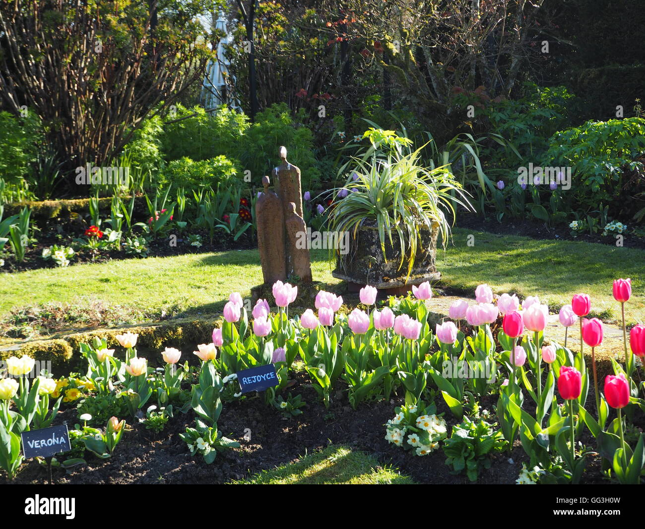 Angolo del percorso erboso attraverso vivacemente illuminate dal sole i tulipani a Chenies Manor Sunken garden. Piccola statua da un cordyline si affaccia soleggiato blumi. Foto Stock