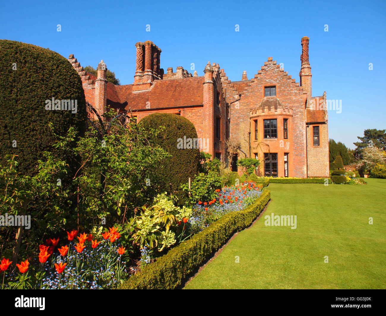 Vista del paesaggio di Chenies Manor House tulip border, l'elleboro, blu Myosotis e prato a sud ovest dell'edificio. Foto Stock