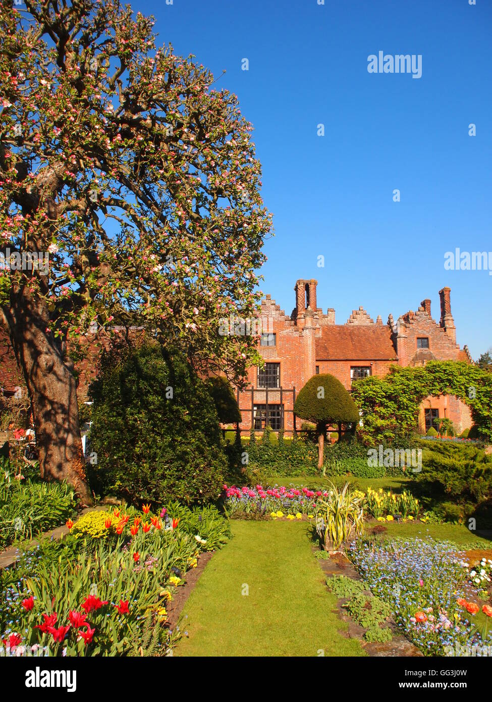 Ritratto di Sunken garden a Chenies Manor House,la molla tulipani. piuttosto aiuole e prato rivolto verso sud-ovest, con cielo blu Foto Stock