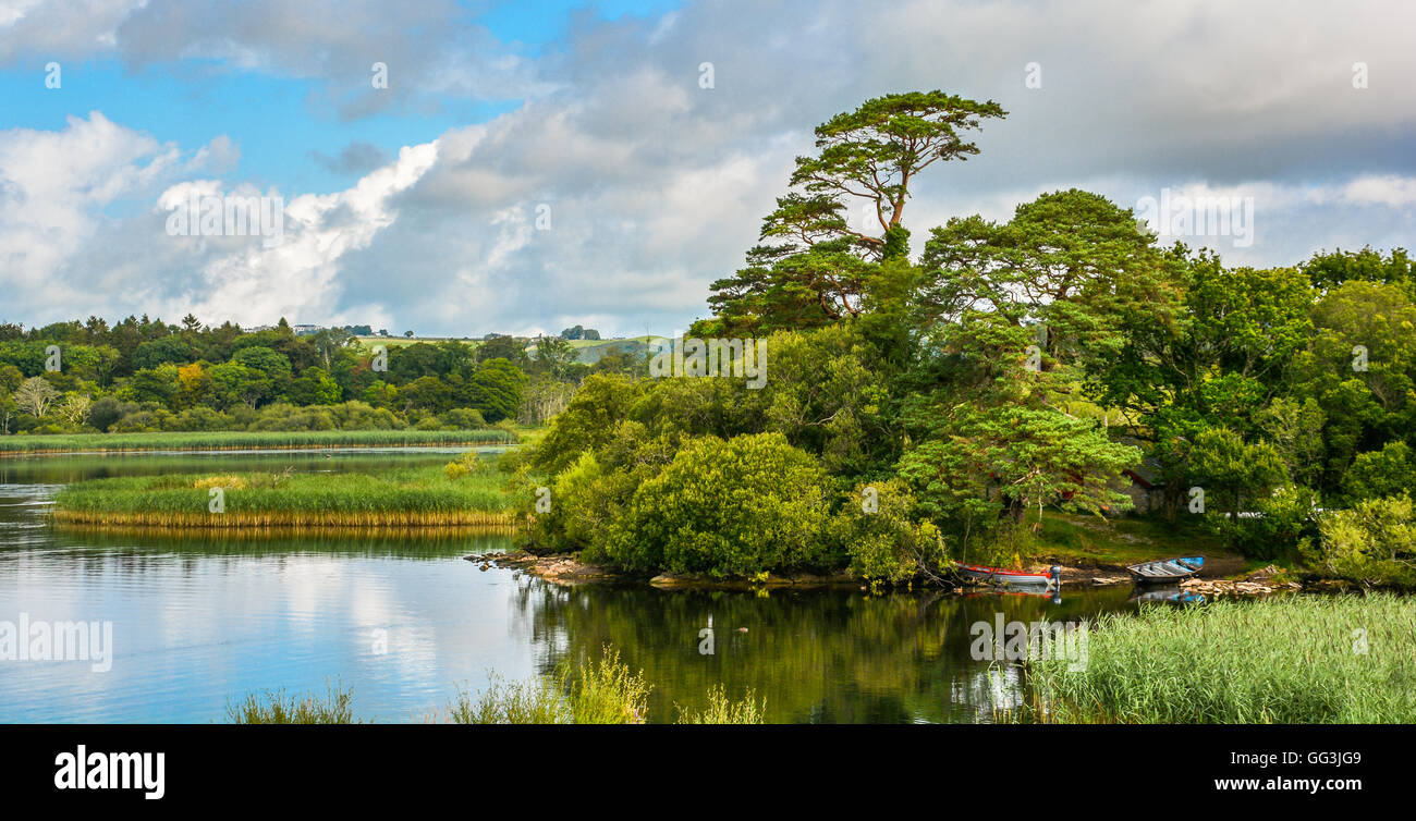 Idillica vista del Castello di Ross Lake, Killarney, Irlanda Foto Stock
