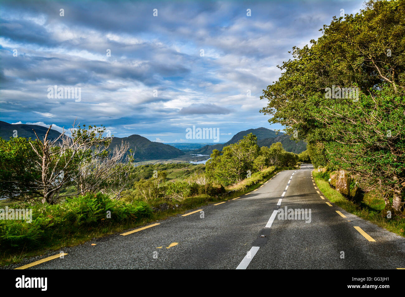 Strada panoramica lungo il Ring of Kerry County Kerry, Irlanda Foto Stock