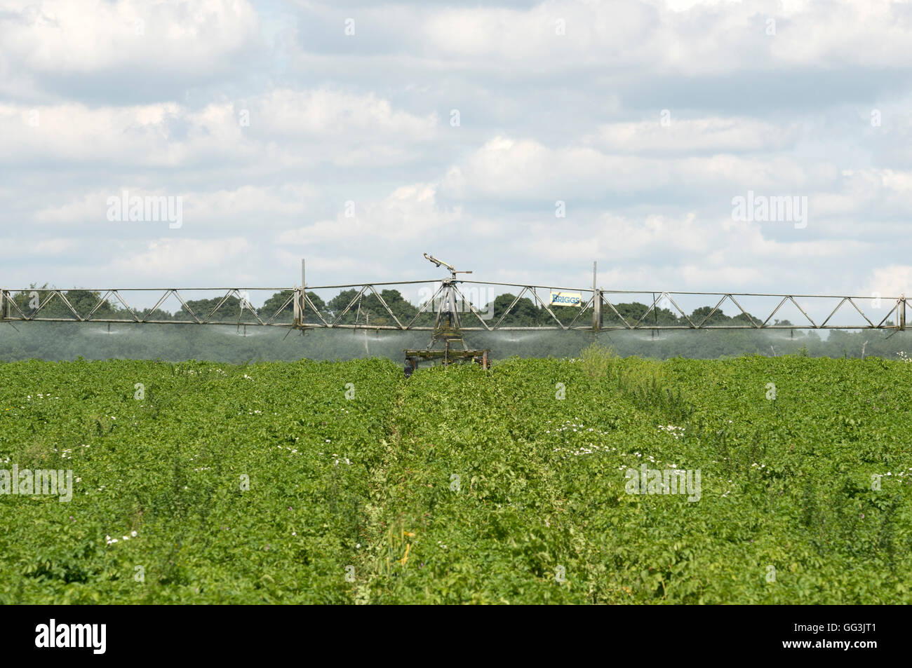 Briggs semovente per acqua sistema di irrigazione Foto Stock