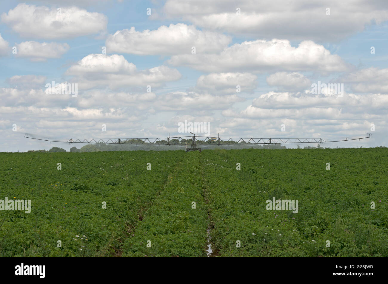Briggs semovente per acqua sistema di irrigazione Foto Stock