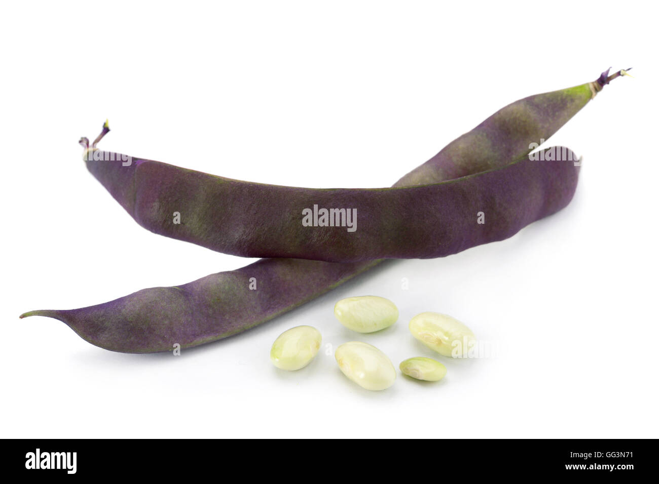 Viola vegetale di fagiolo isolati su sfondo bianco Foto Stock