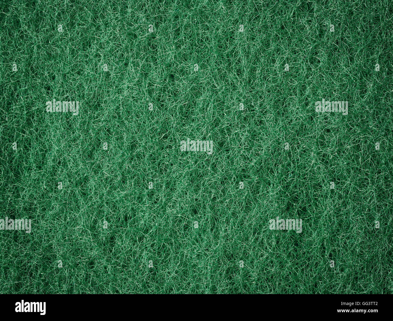 Verde macro fibroso sfondo texture Foto Stock