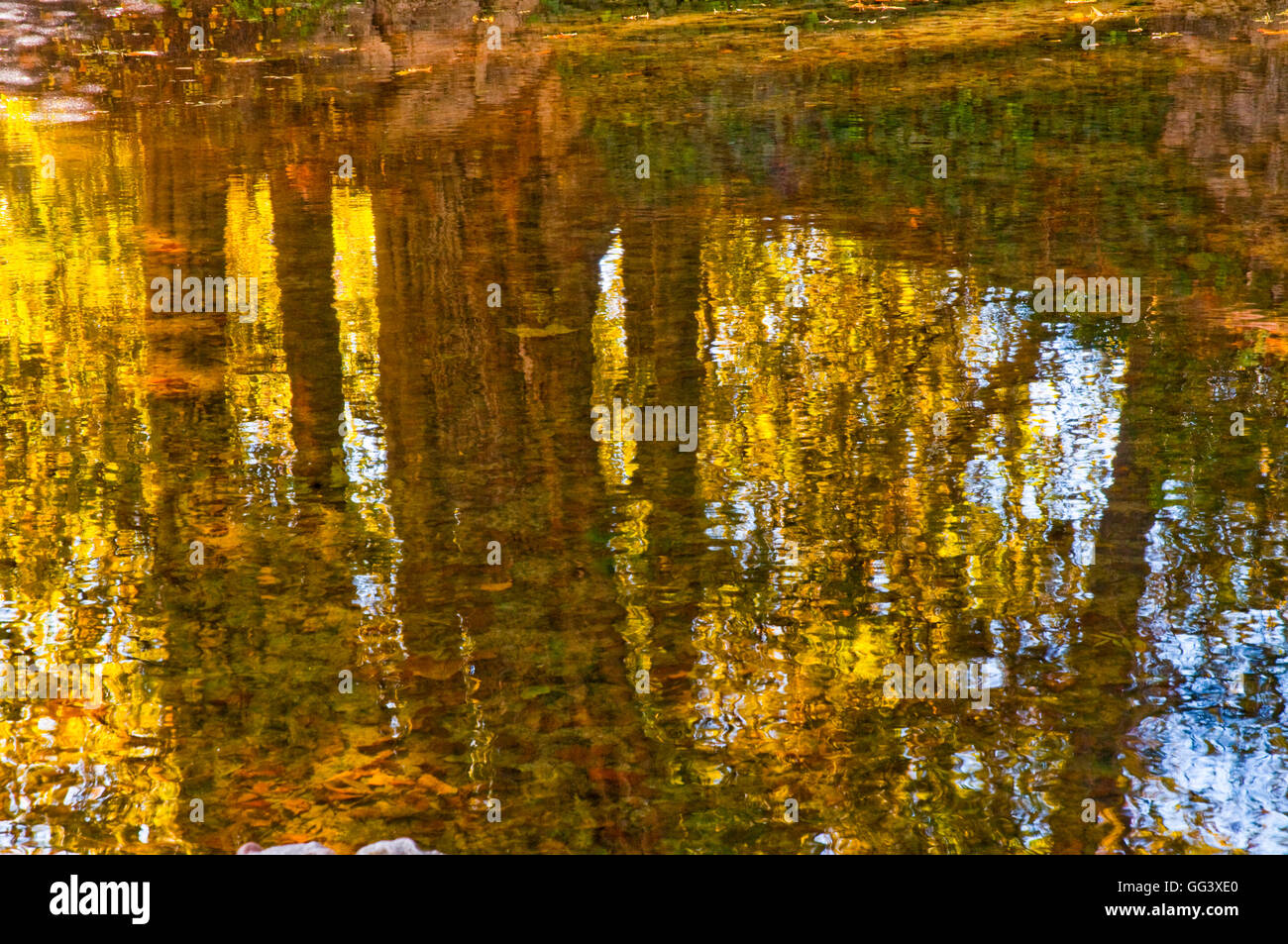 Autunno riflessi sull'acqua. Il Parco del Retiro di Madrid, Spagna. Foto Stock
