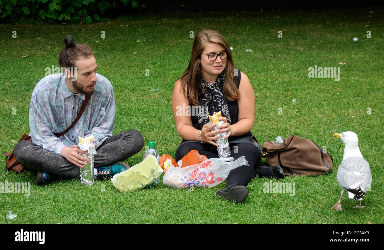 Giovane picnicing sull'erba warily guardando un gabbiano arrivando vicino a loro Foto Stock