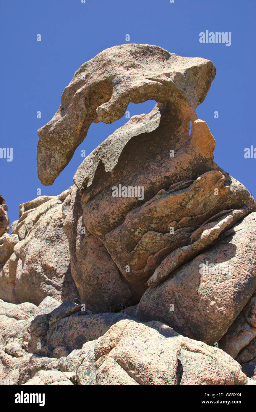 Tafoni (erosione in granito) su Capu d'Orto vicino a Porto, Corsica, Francia Foto Stock