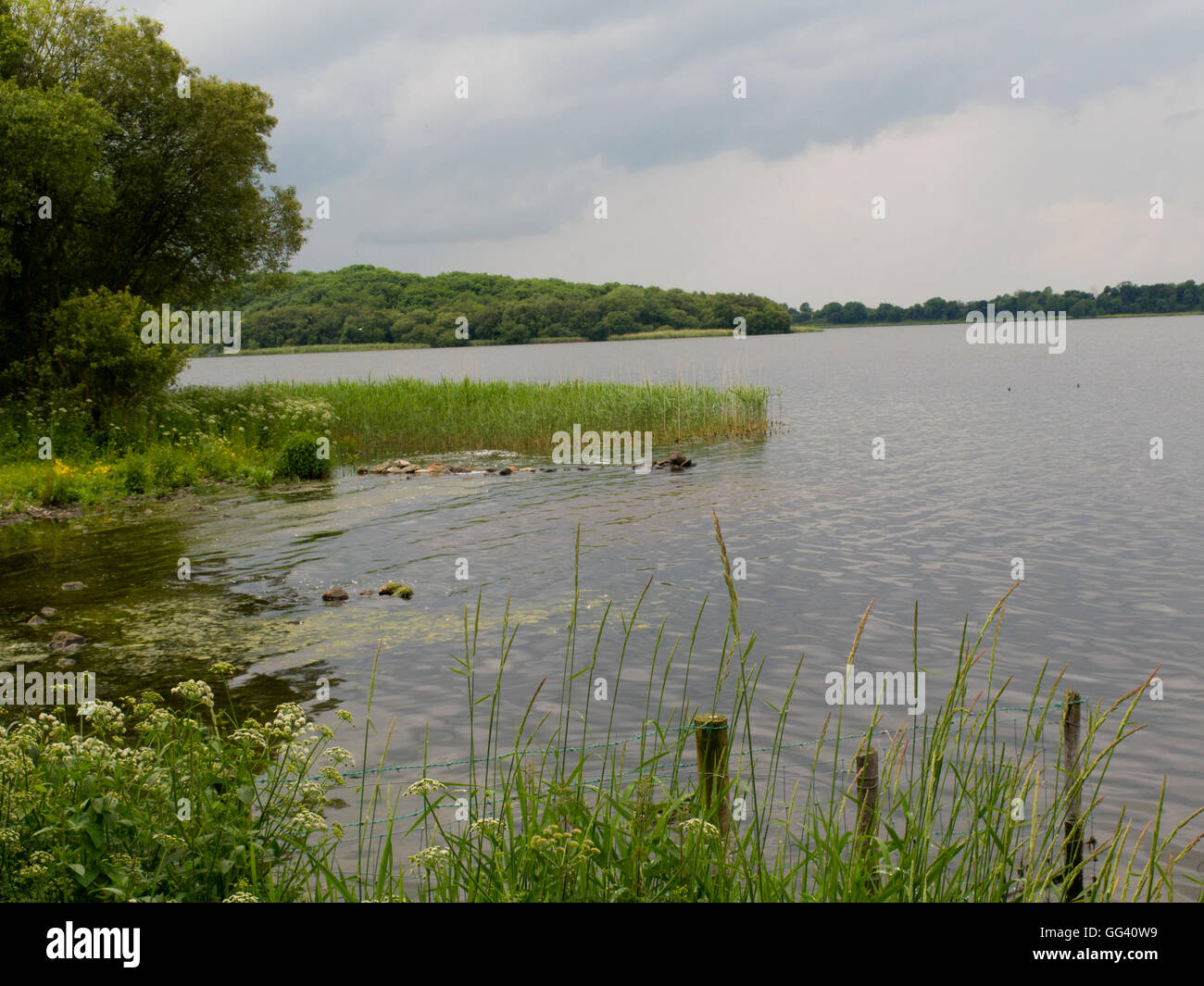 Lough Neagh Craigavon Irlanda del Nord Foto Stock