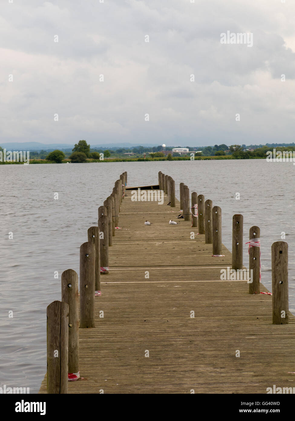 Imbarcadero del Lough Neagh Craigavon Irlanda del Nord Foto Stock