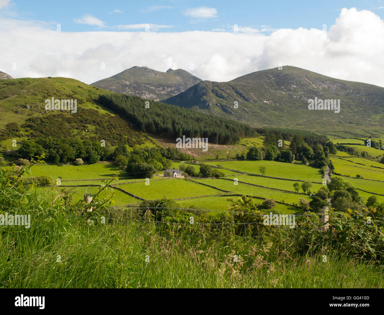 Montagne di Mourne contea di Down Irlanda del Nord Foto Stock
