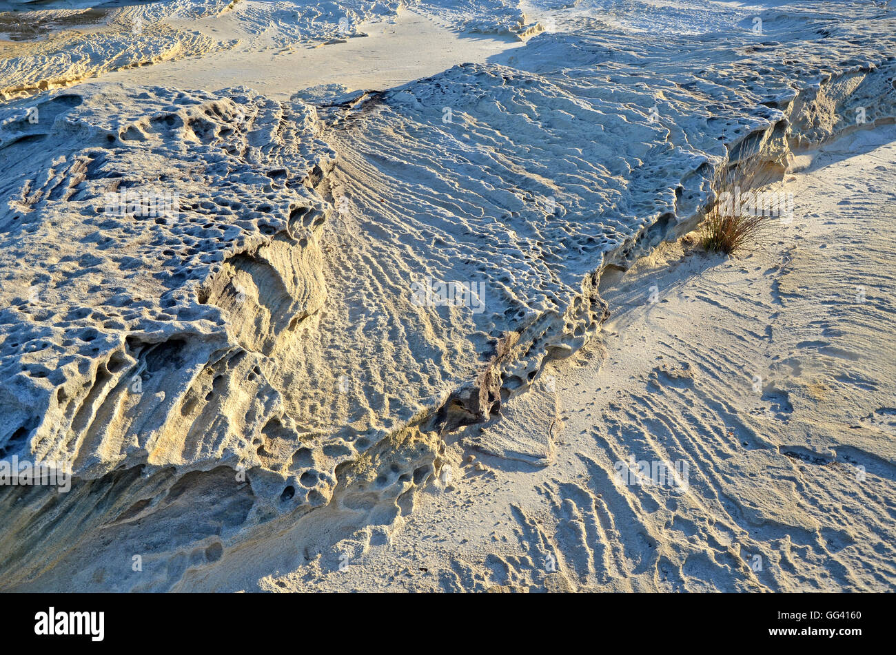 Forme e modelli di weathered Sydney (Hawkesbury) arenaria del New South Wales coast Foto Stock