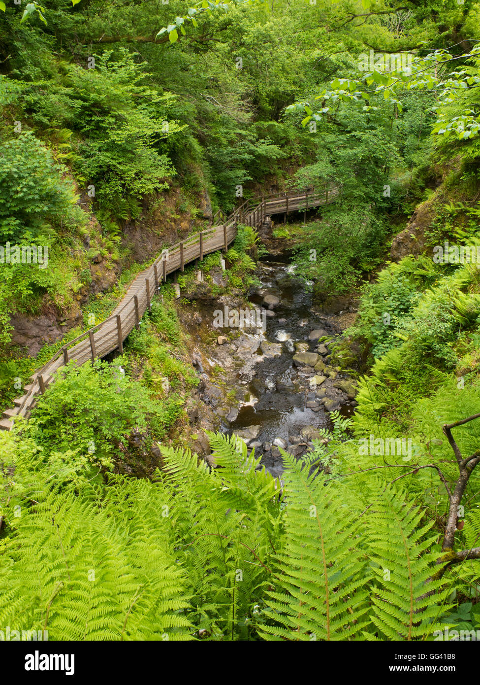 Glen Ariff nel fiume Glenariff Forest park Ballymoney Irlanda del Nord Foto Stock