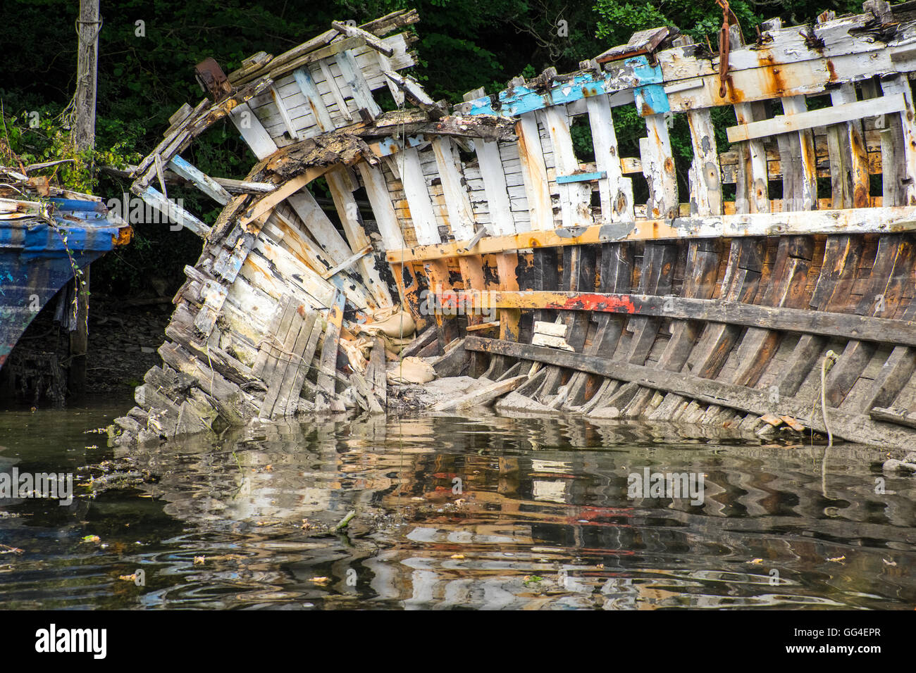 La disintegrazione nello scafo di una barca sulle rive del fiume Fowey, Cornwall Foto Stock