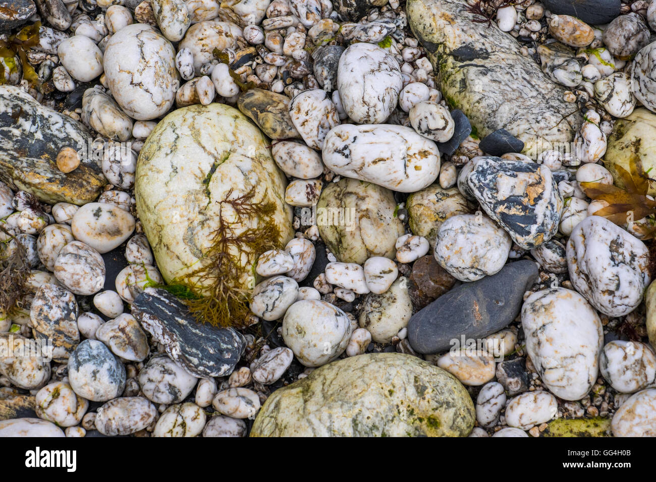Ciottoli su una spiaggia della Cornovaglia Foto Stock