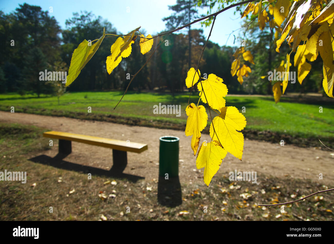 Composizione Autmn. Panchina nel parco. Foto Stock