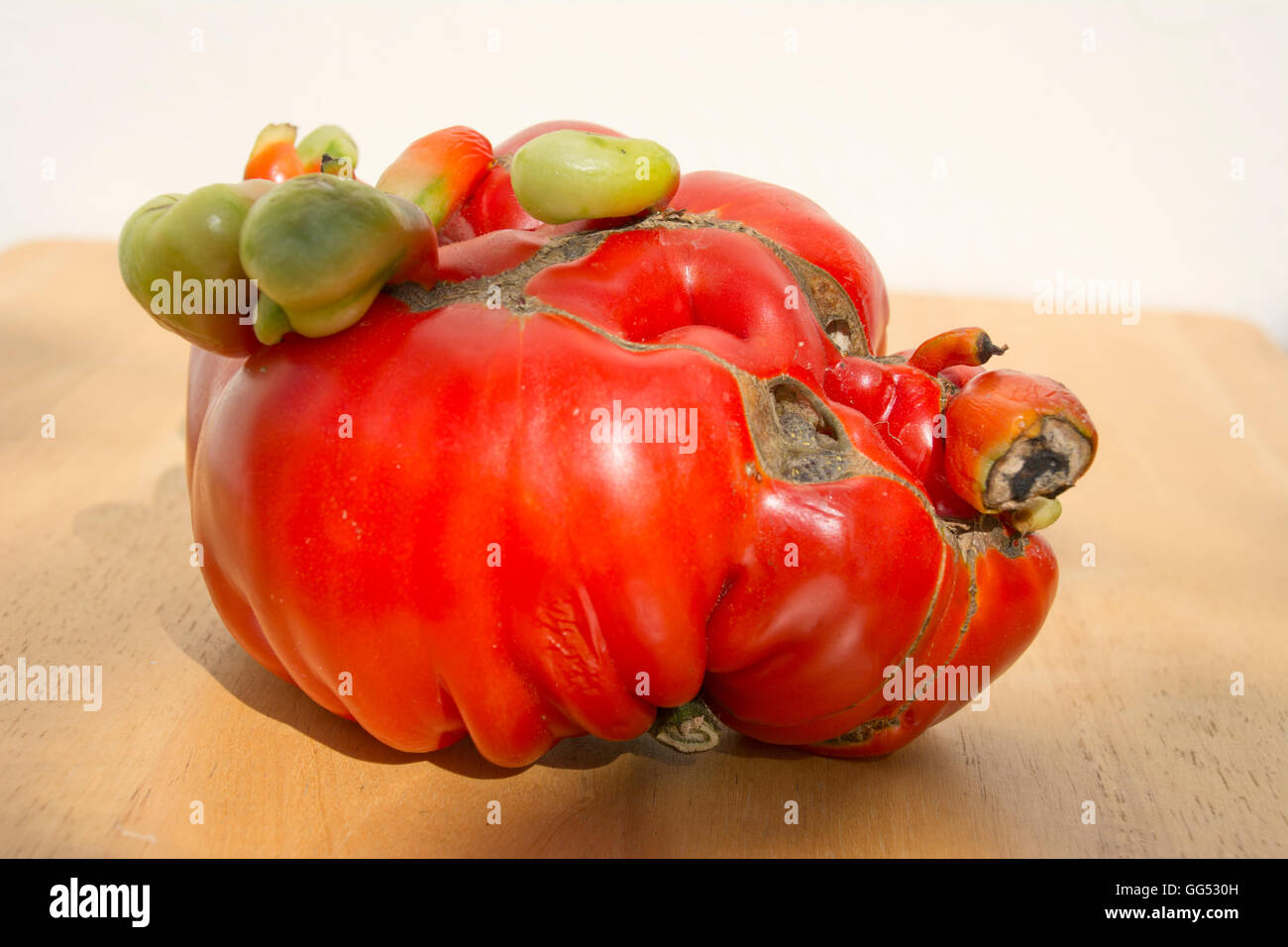 Strano, divertente di pomodoro. Foto Stock