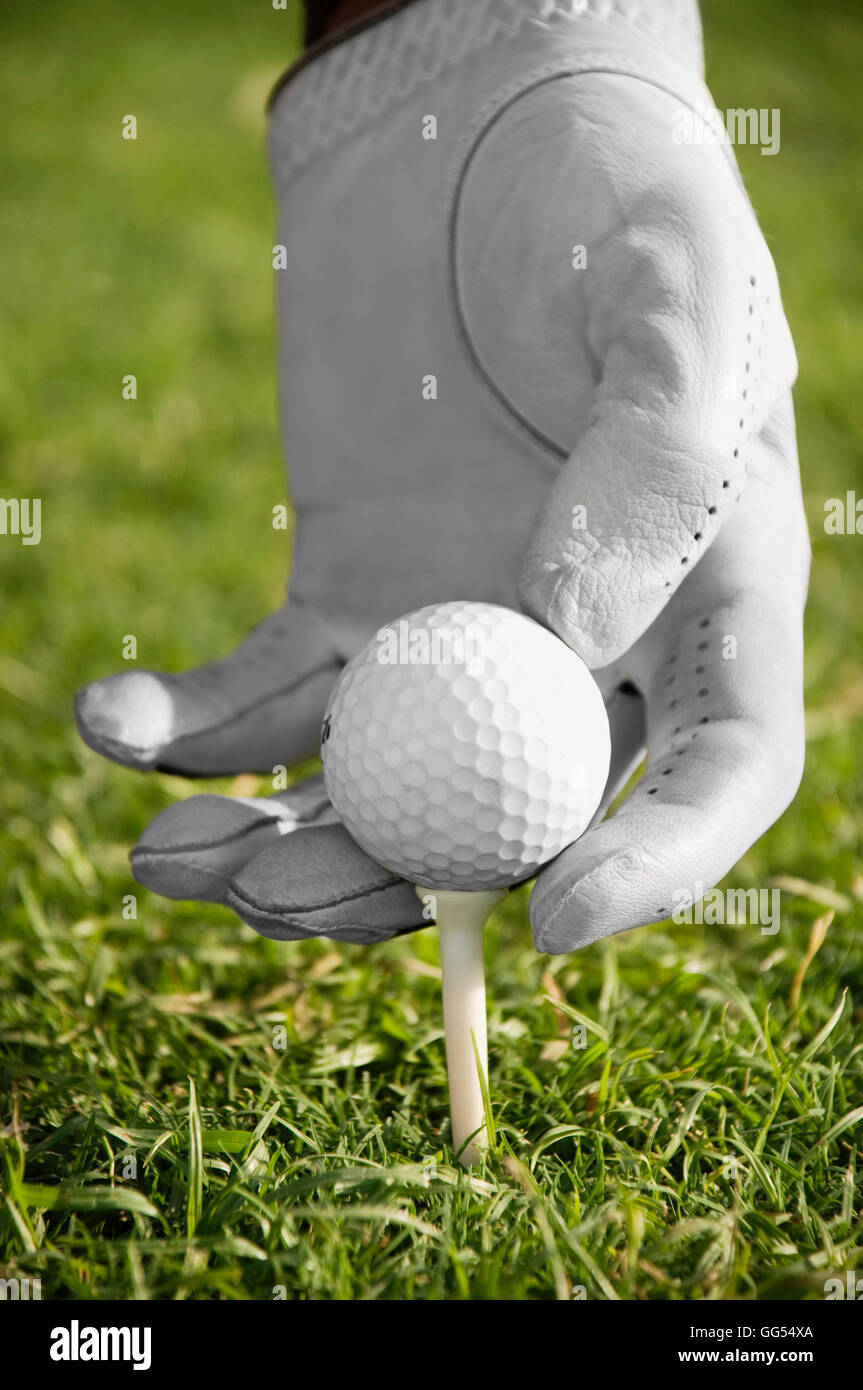 Posizionare la pallina da golf sul raccordo a T Foto Stock