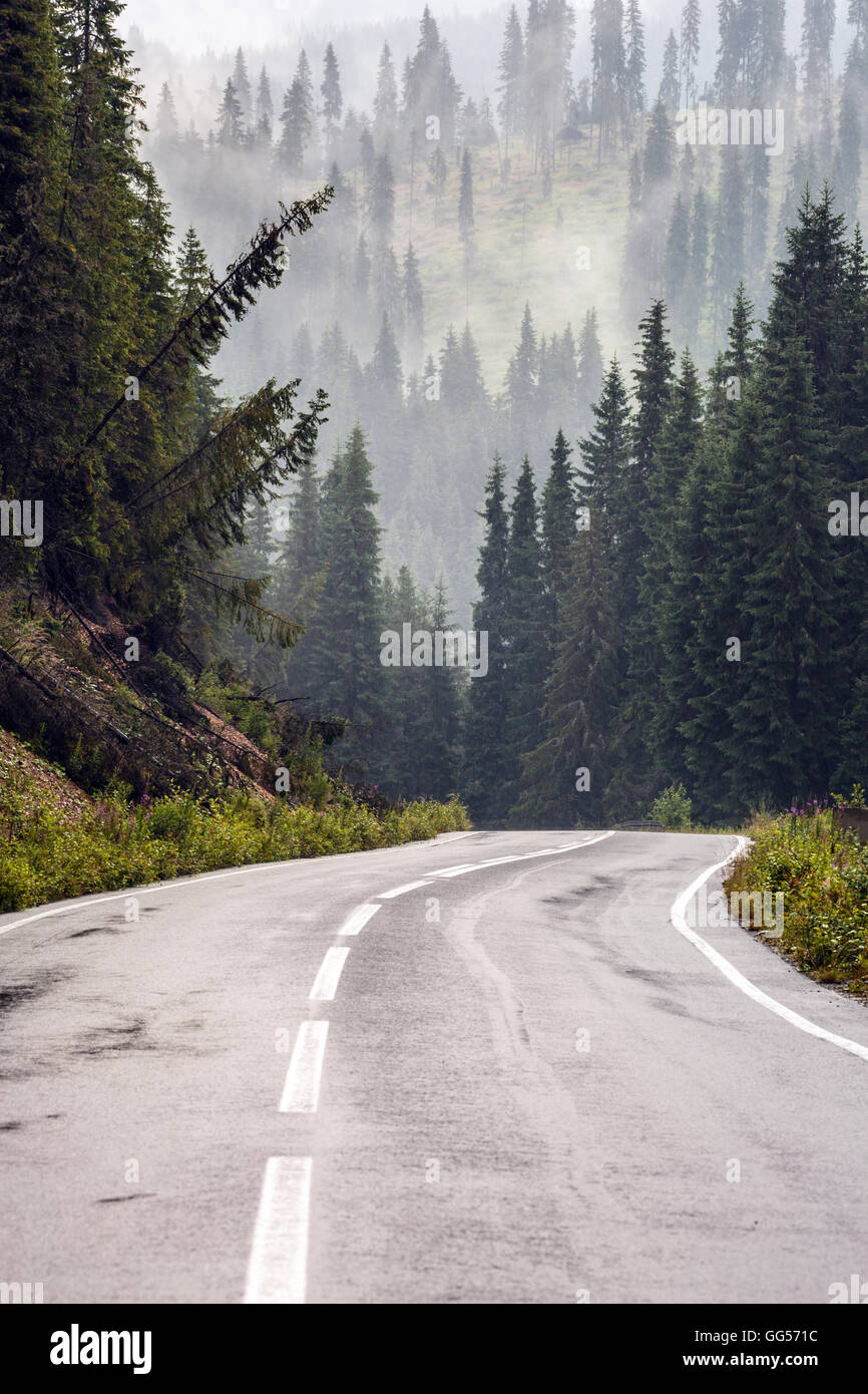 Paesaggio con strada andando in montagne coperte di pini in un giorno di pioggia Foto Stock