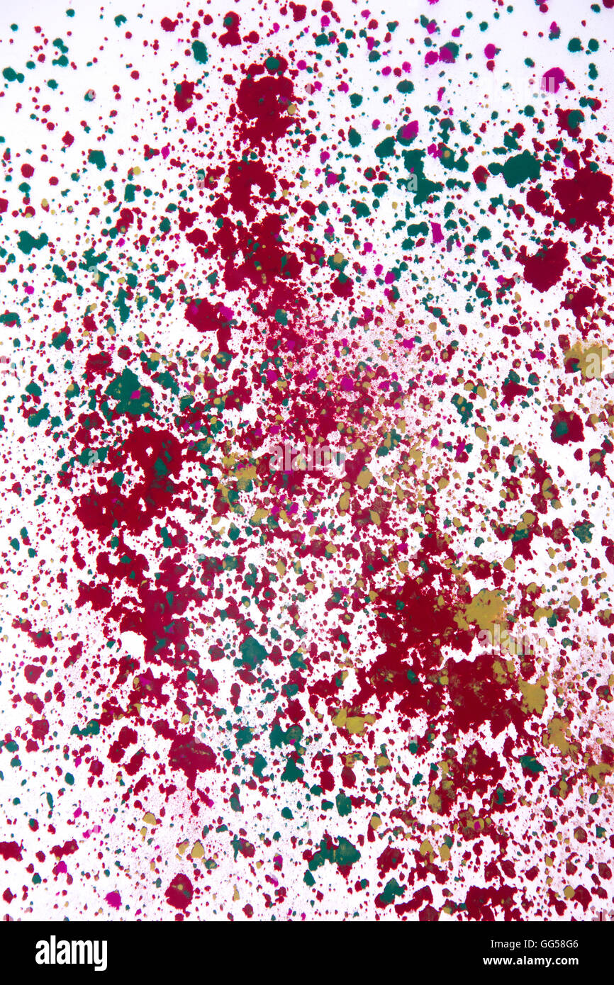 Colorate di vernice in polvere sparsi sul pavimento durante Holi festival Foto Stock