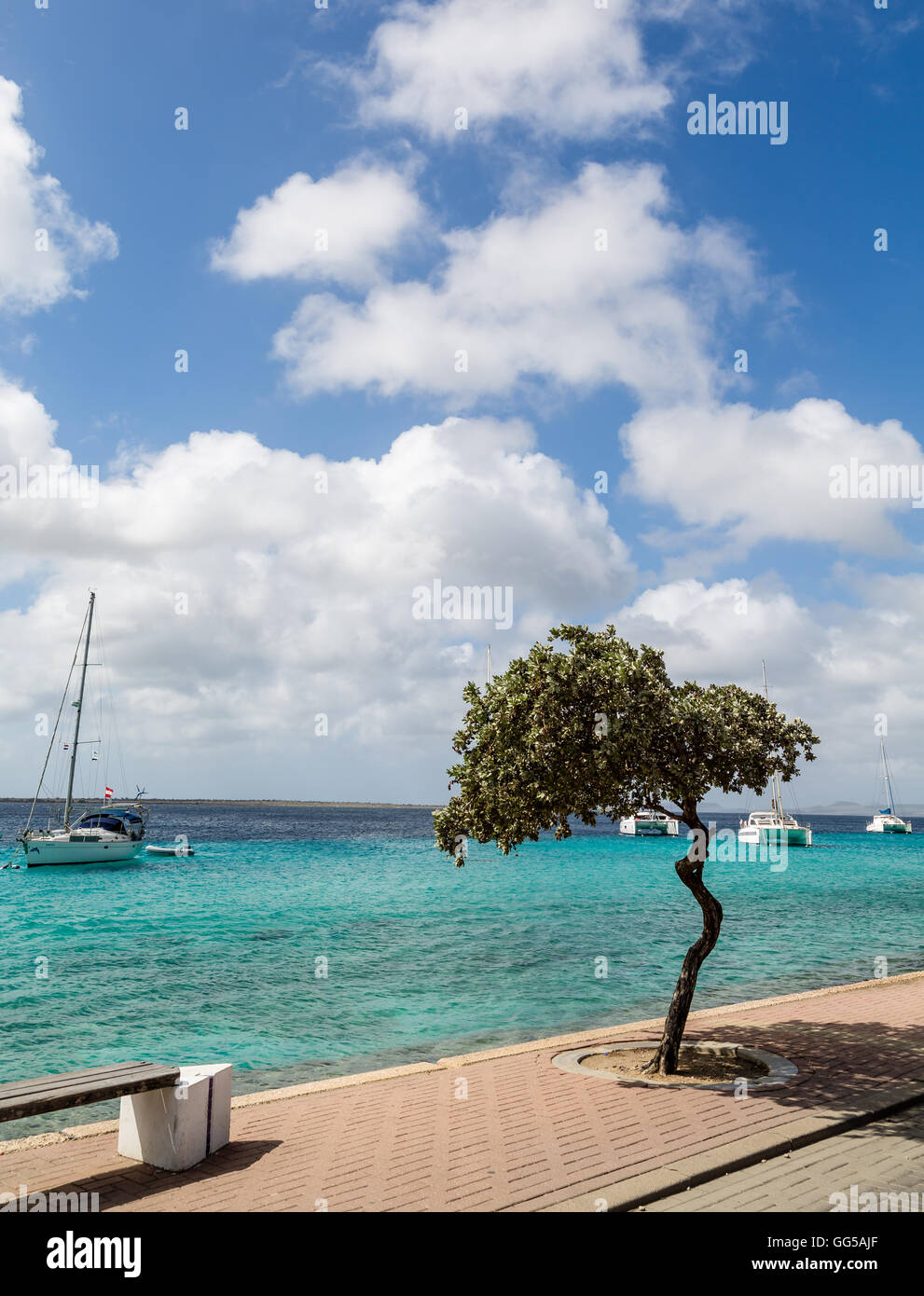 White barche ancorate al largo di Aruba Beach Foto Stock