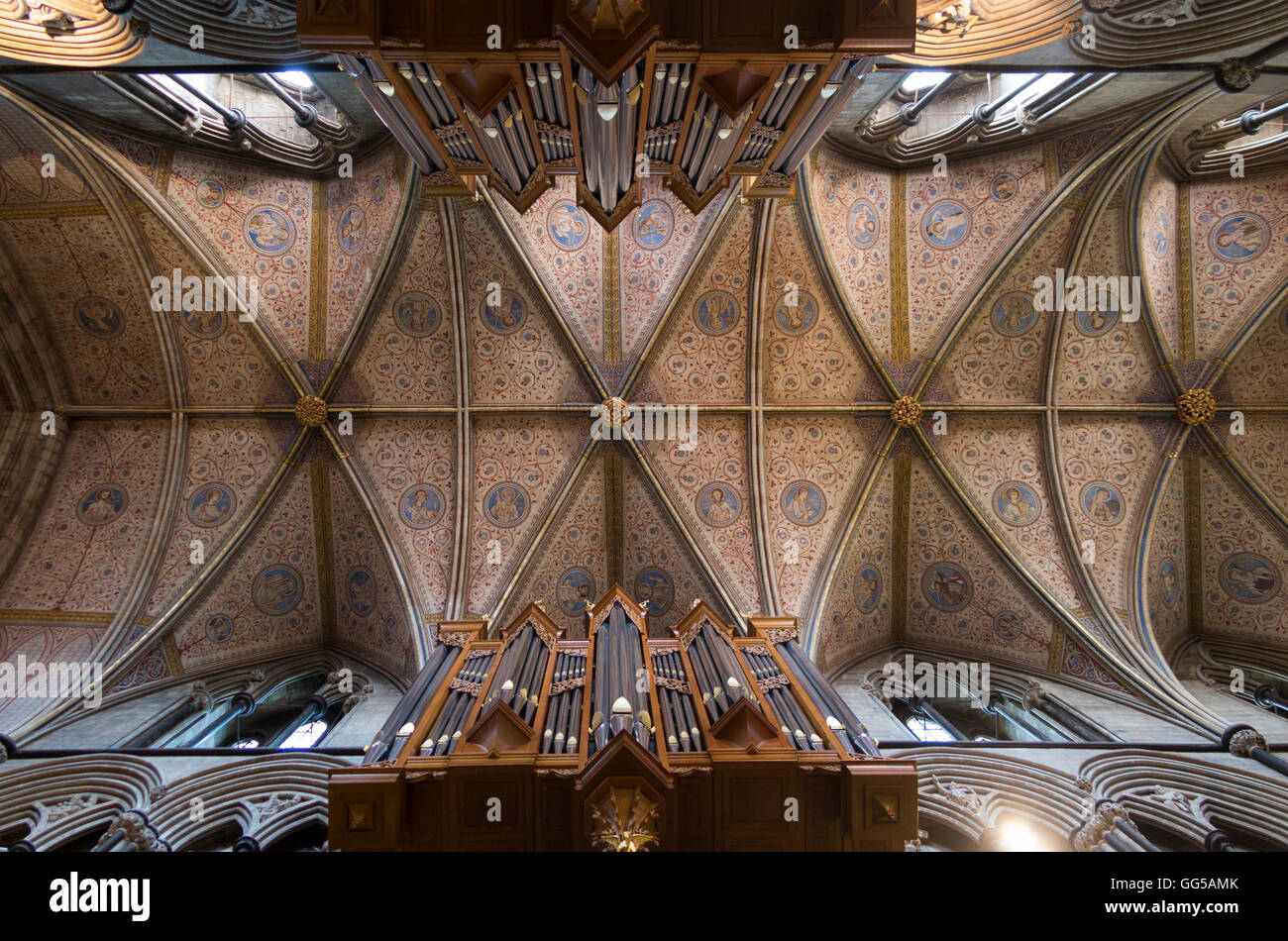 Il soffitto a volta / tetto sopra la navata nella cattedrale di Worcester, Worcestershire. Regno Unito. Foto Stock