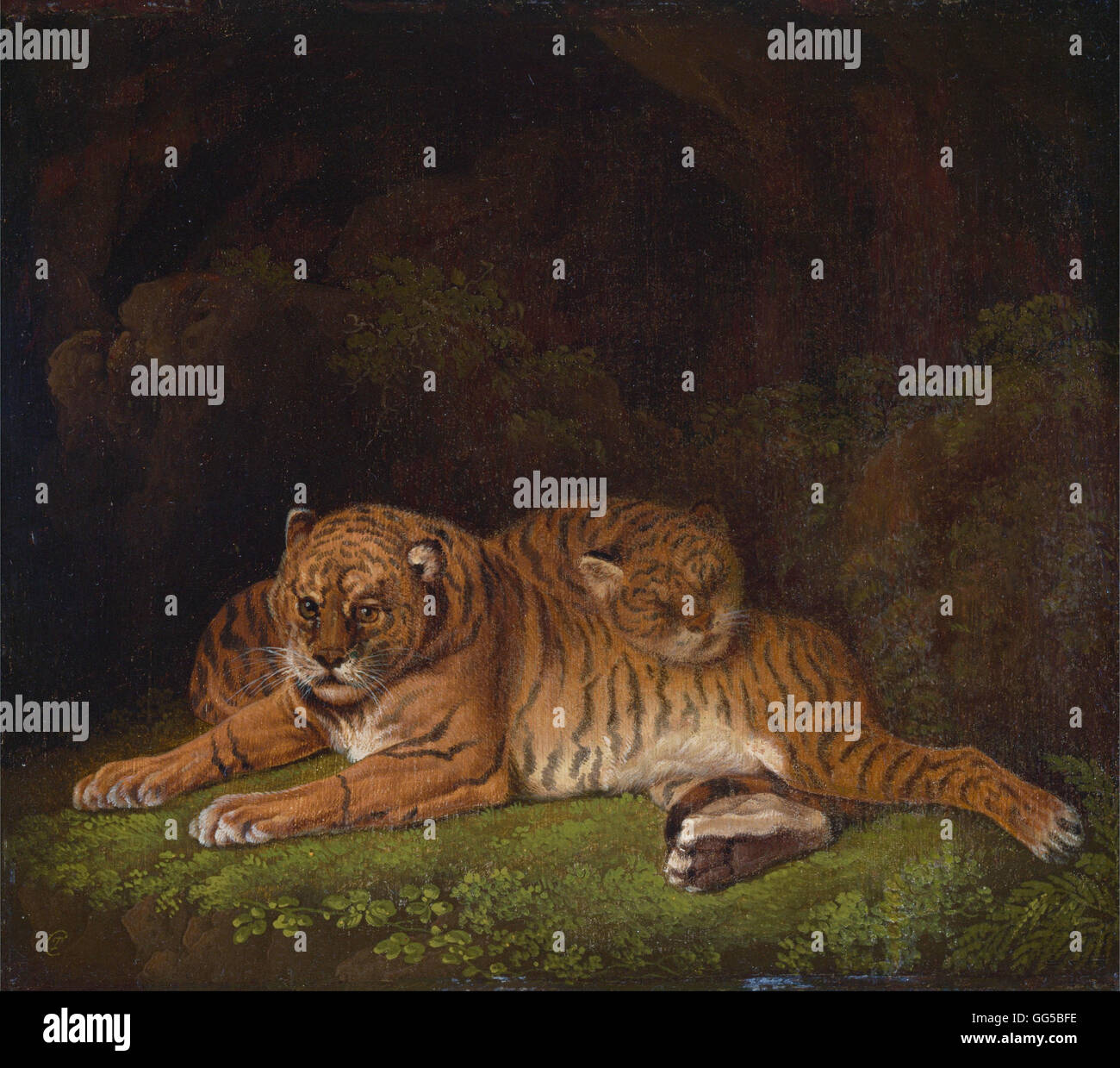 Charles Towne - Tigri Foto Stock