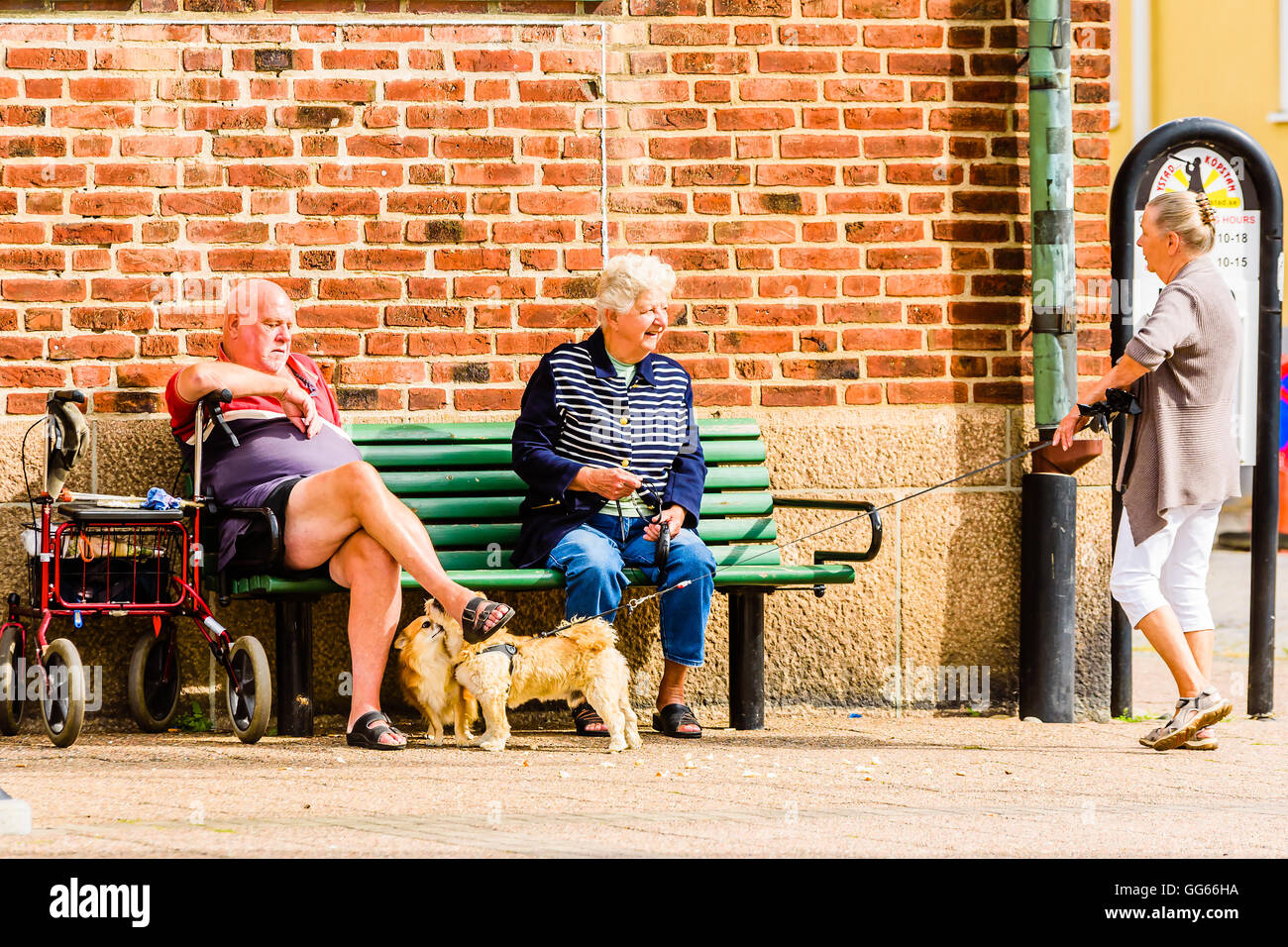 Ystad, Svezia - 1 Agosto 2016: persone reali nella vita di tutti i giorni. Tre alti persone aventi una conversazione mentre due cani sniff su Foto Stock