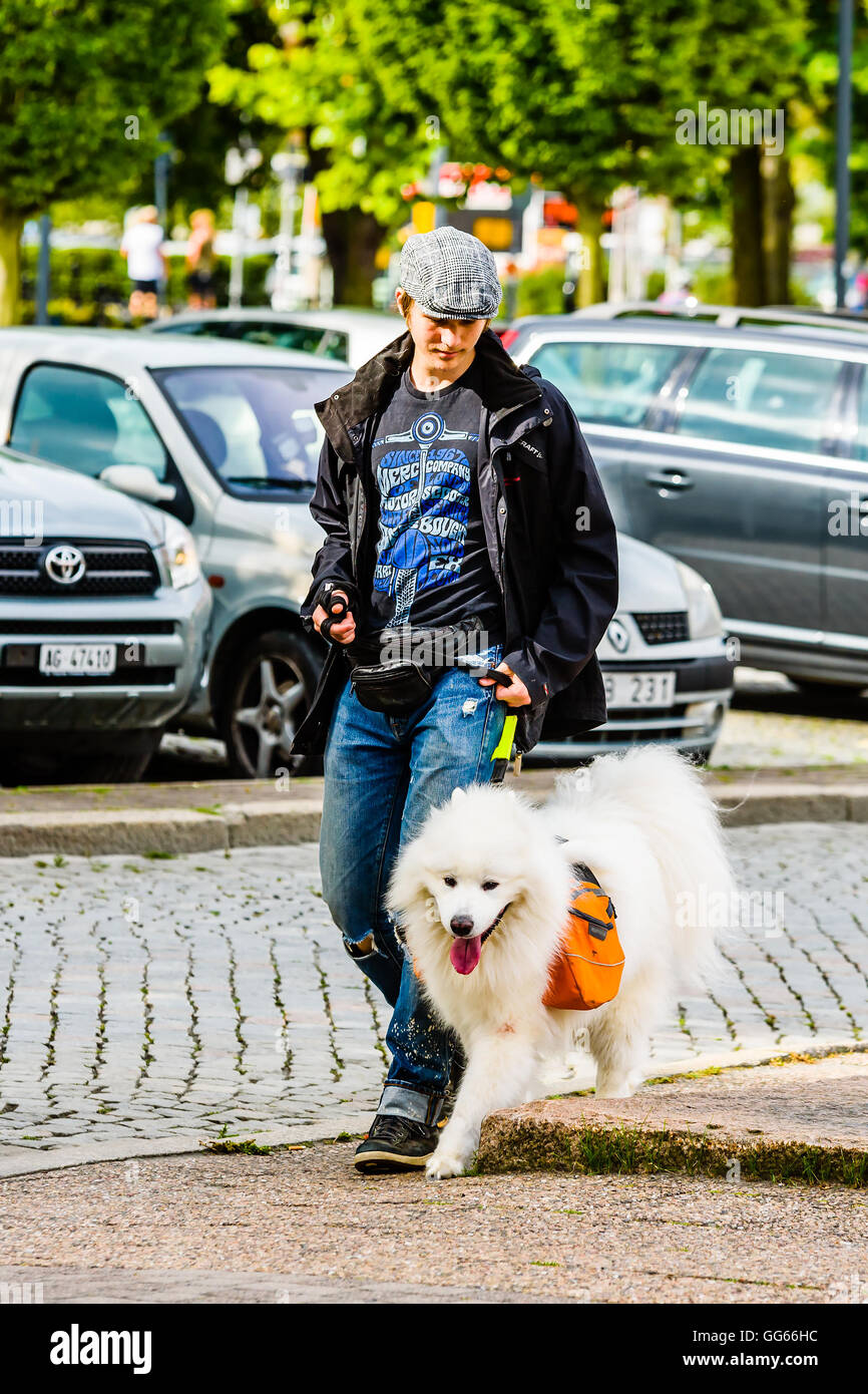 Ystad, Svezia - 1 Agosto 2016: persone reali nella vita di tutti i giorni. Giovane uomo adulto a spasso con un cane Samoiedo indossando un arancio R Foto Stock