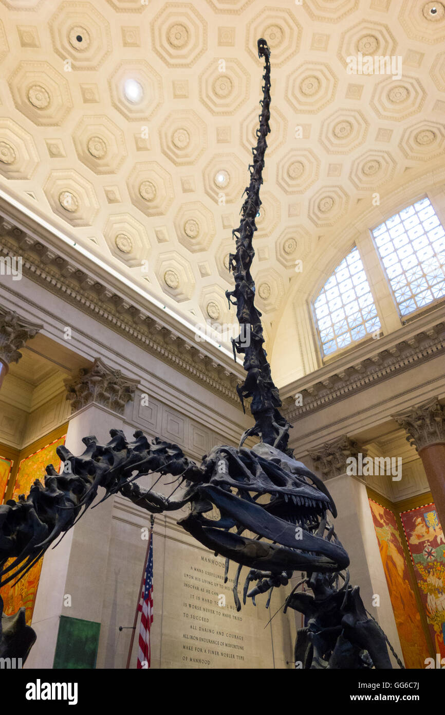 Il Museo Americano di Storia Naturale Foto Stock