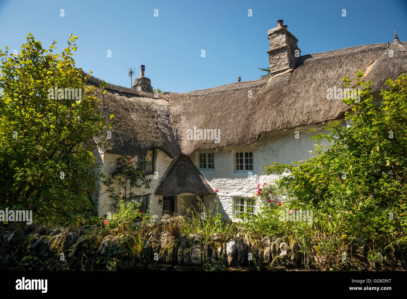 Antico cottage con il tetto di paglia nel villaggio di Ringmore nel sud prosciutti, Devon, Regno Unito Foto Stock