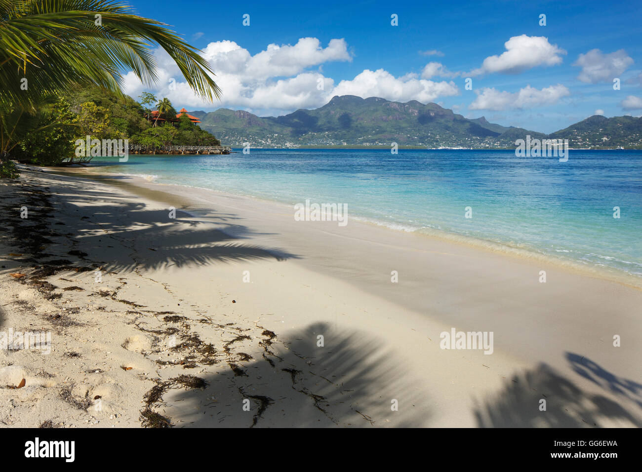 Alberi di palma che forniscono ombra lungo una deserta spiaggia di sabbia nelle Seicelle, Oceano indiano, Africa Foto Stock
