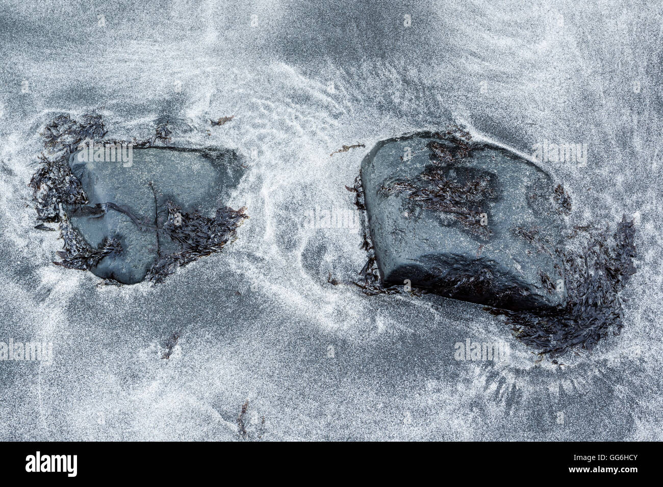 Rocce e alghe tra sabbia nera vulcanica e cristallizzato bianco conchiglie di mare a Talisker Bay, Isola di Skye in Scozia Foto Stock