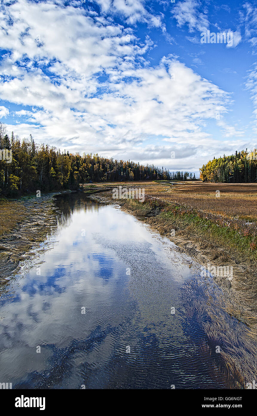 Le nubi sono riflesse in un Alaskan flusso sulla Penisola di Kenai Foto Stock