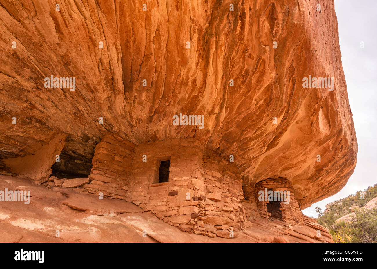 Casa sul fuoco, Puebloan Cliff Dwelling in Mule Canyon su Cedar Mesa, Shash JAA Unit, Bears Ears National Monument, Utah, USA Foto Stock