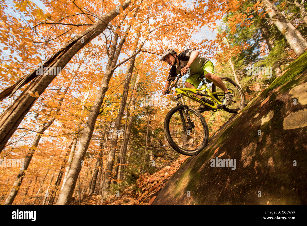 Autunno in mountain bike nelle White Mountains del New Hampshire. Foto Stock