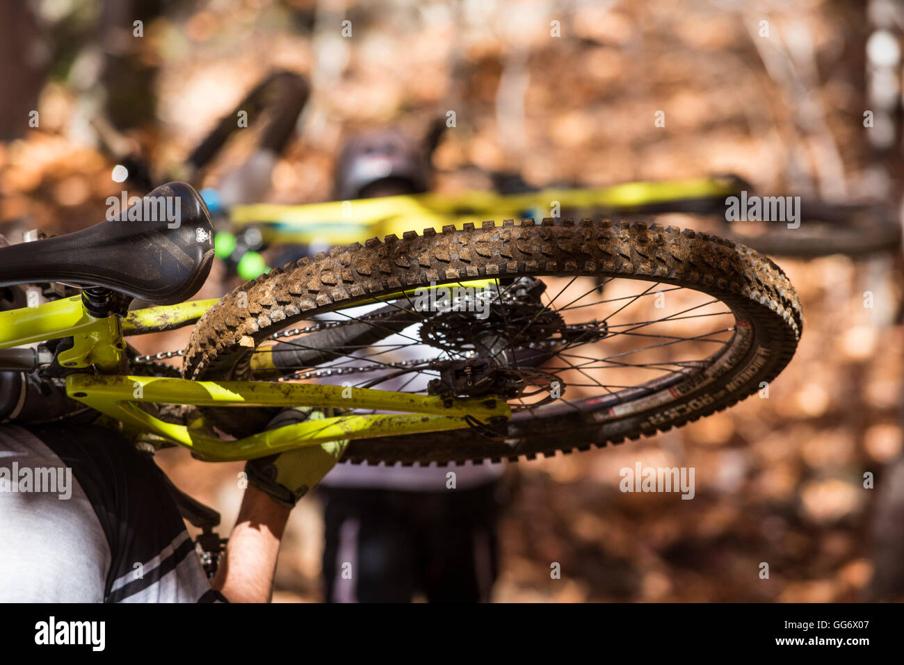 Autunno in mountain bike nelle White Mountains del New Hampshire. Foto Stock