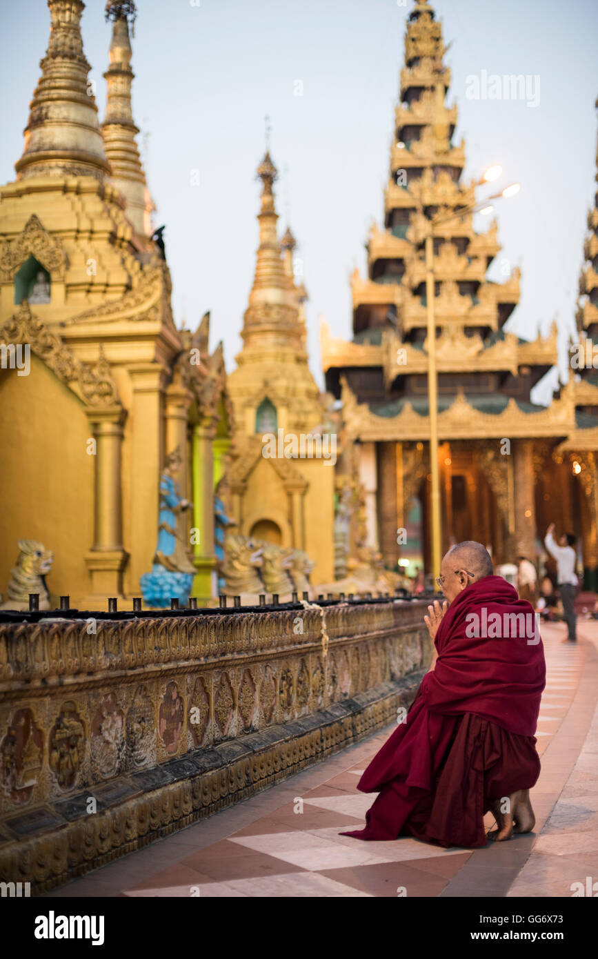 Un monaco buddista prega alla Shwedagon pagoda Yangon, Myanmar. Foto Stock