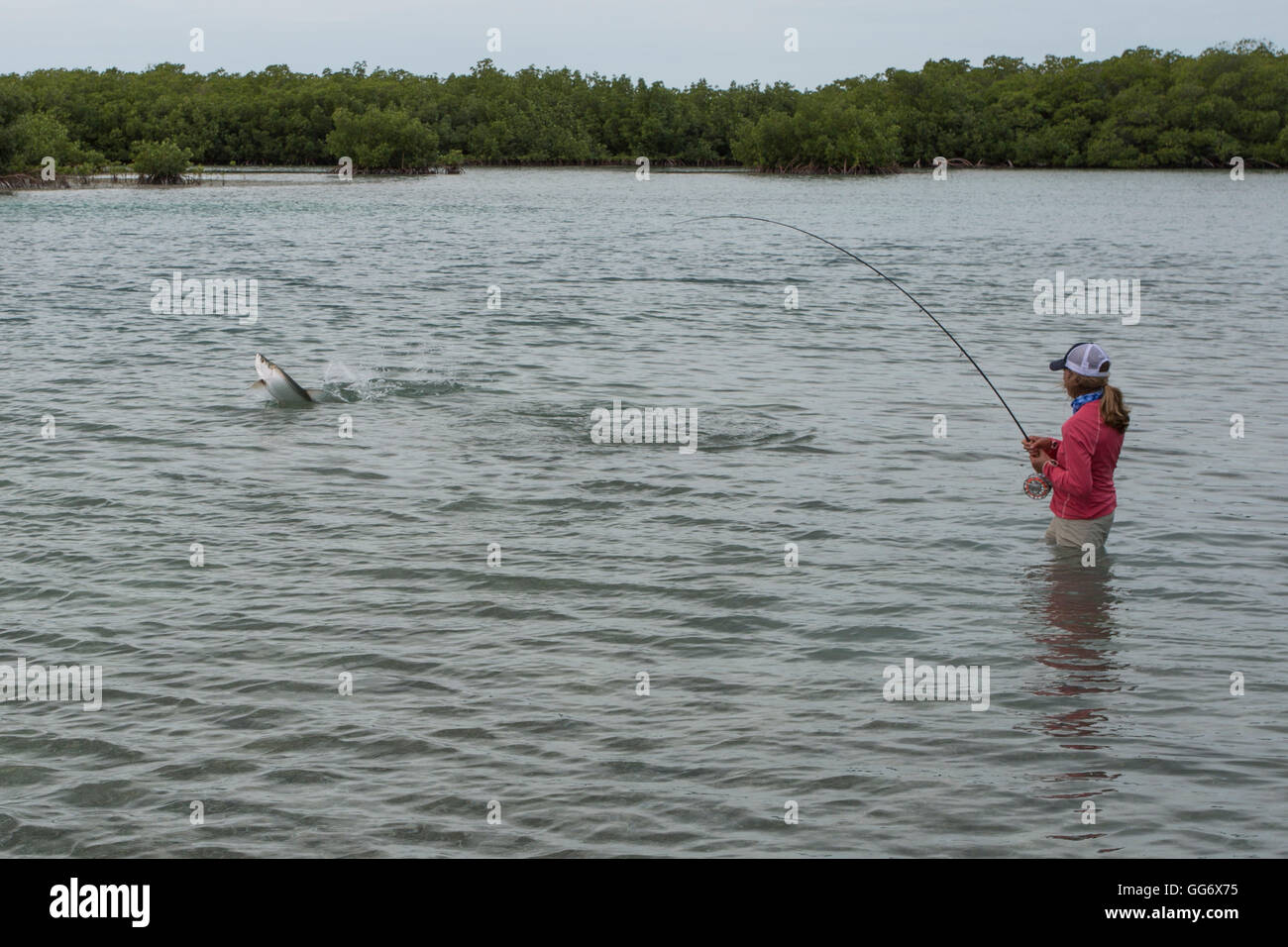 Kristen Tripp esplora il Cayo Largo e Cayo Cruz pesca. Cuba, Gennaio 2016. Foto Stock